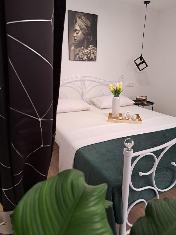 شقة Studio Apartman Maris زادار المظهر الخارجي الصورة